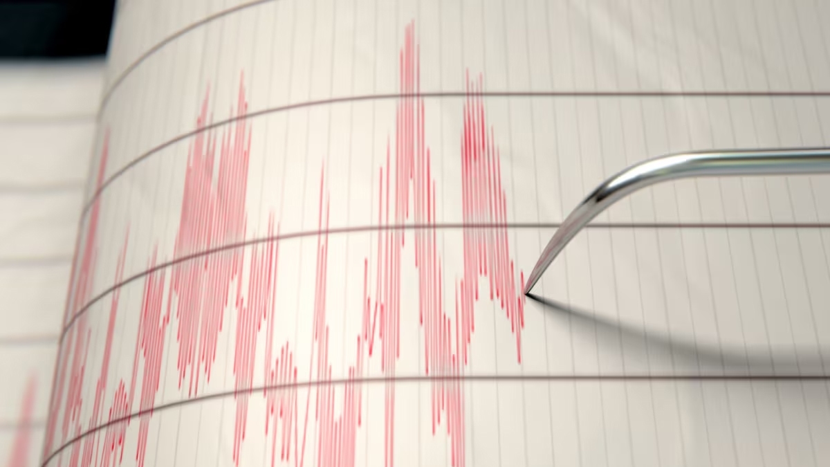 strong 6.0 magnitude earthquake shakes near geraldine, new zealand