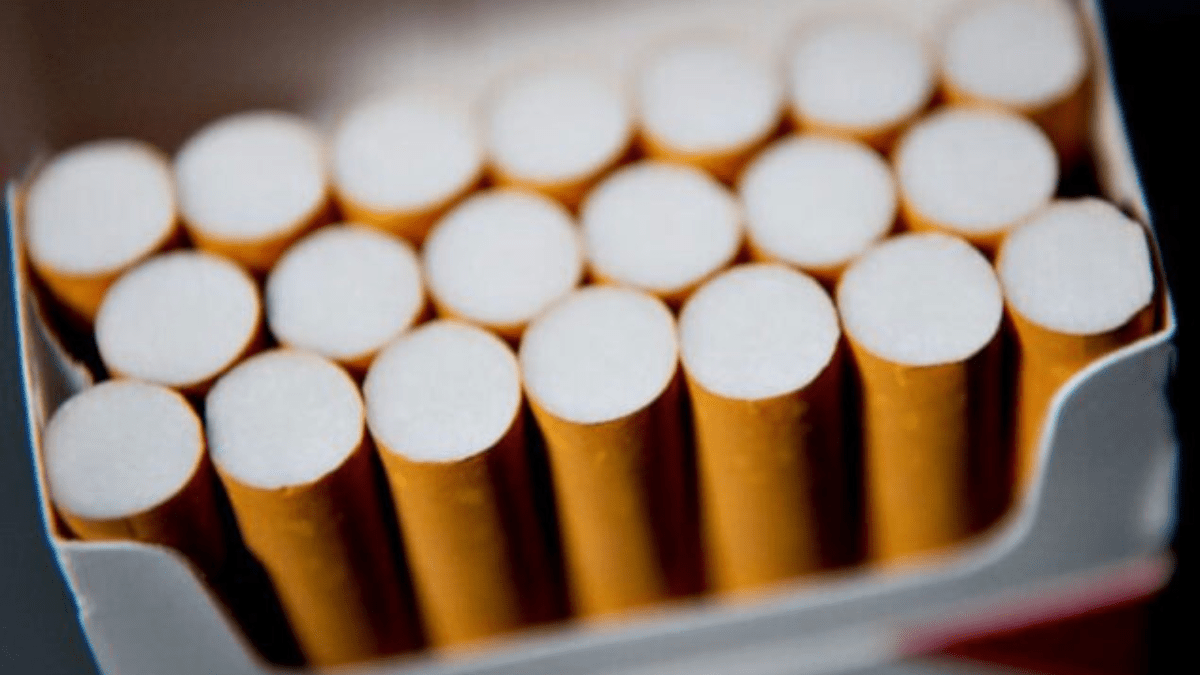 customs seizes cigarettes worth rs156 million in anti smuggling effort