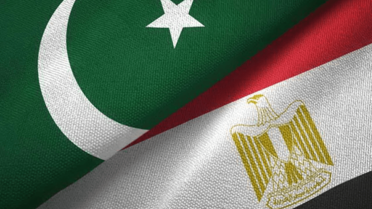 pakistan and egypt strengthen bonds trade conference in cairo for enhanced business relations