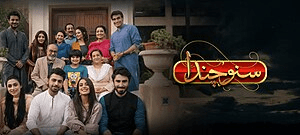 Pakistani tv shows,top pakistani tv shows on hum,hum tv shows pakistan.,Hum tv best drama,Pyarey Afzal,Zindagi Gulzar Hai,Humsafar