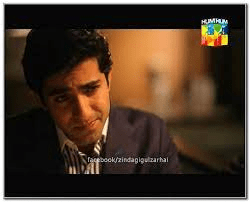 Sheheryar Munawar as Arsalan in "Zindagi Gulzar Hai"
